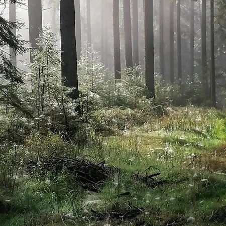 Haagerhof 3*
