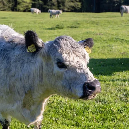 Haagerhof Hotel Aigen im Mühlkreis