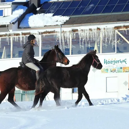 Szálloda Haagerhof Aigen im Mühlkreis