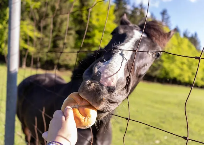Otel Landhotel Haagerhof 3*