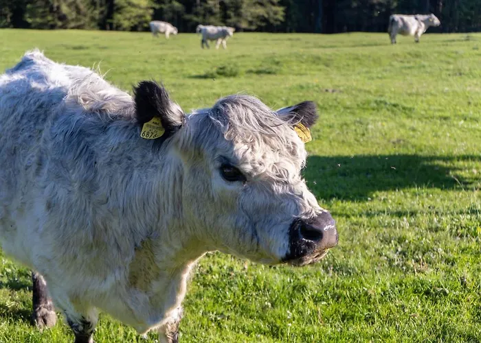 Haagerhof Hotel Aigen im Mühlkreis