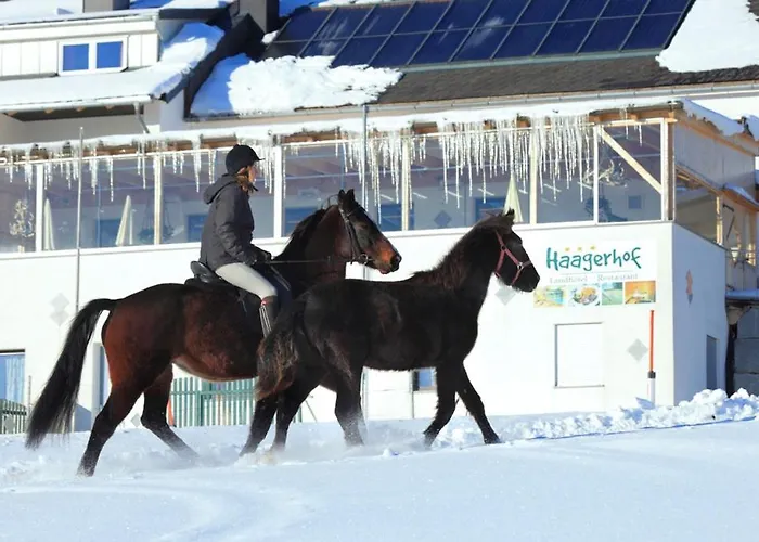 Otel Landhotel Haagerhof Aigen im Mühlkreis