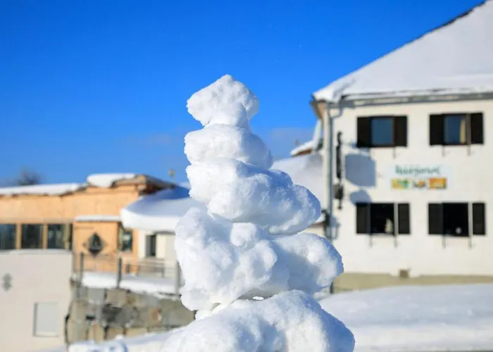 Otel Landhotel Haagerhof Aigen im Mühlkreis