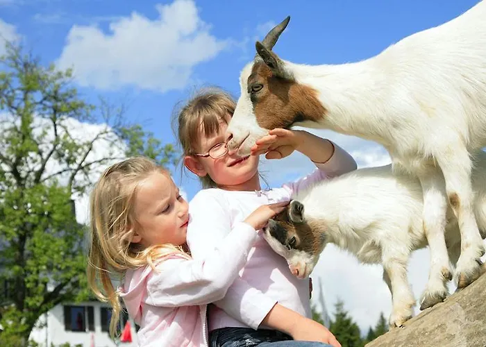 Landhotel Haagerhof 3* Aigen im Mühlkreis