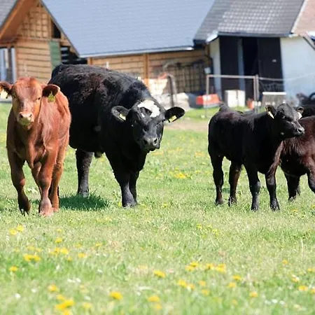 Haagerhof Отель Aigen im Muehlkreis