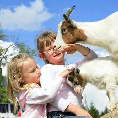 Haagerhof 3* Aigen im Muehlkreis
