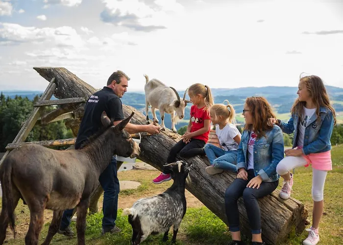 Hotel Landhotel Haagerhof