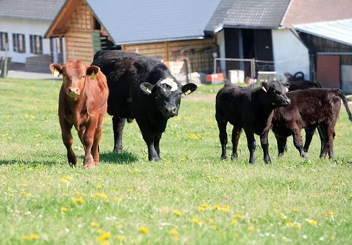 Landhotel Haagerhof Hotel Aigen im Muehlkreis